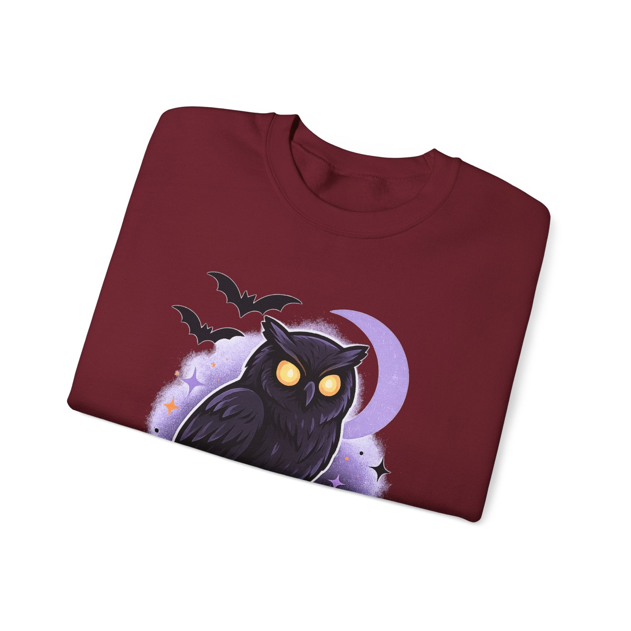Spooky Owl and Pumpkin Night Sweatshirt