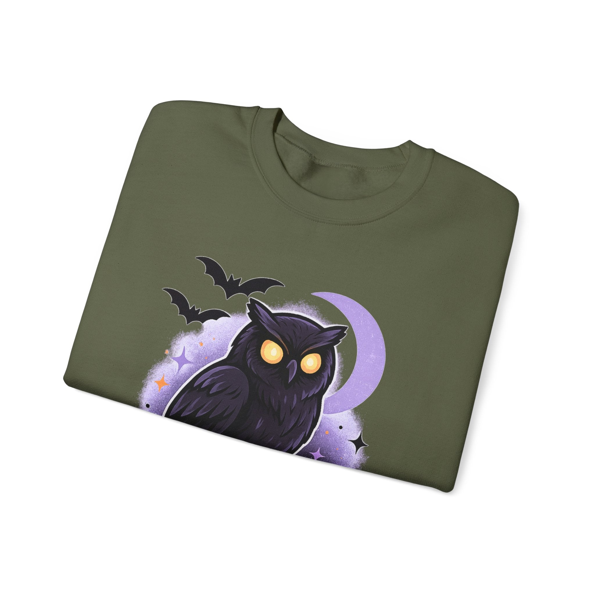 Spooky Owl and Pumpkin Night Sweatshirt