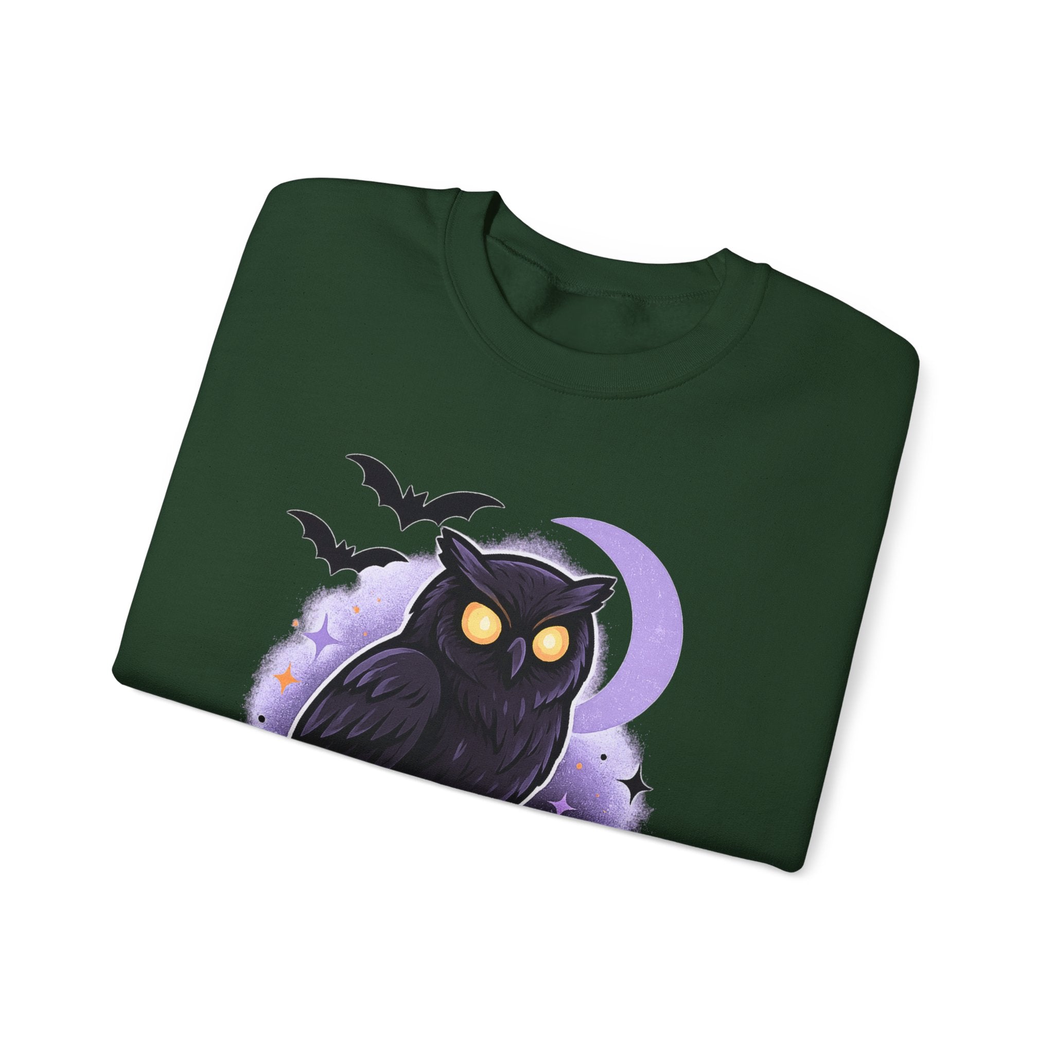 Spooky Owl and Pumpkin Night Sweatshirt