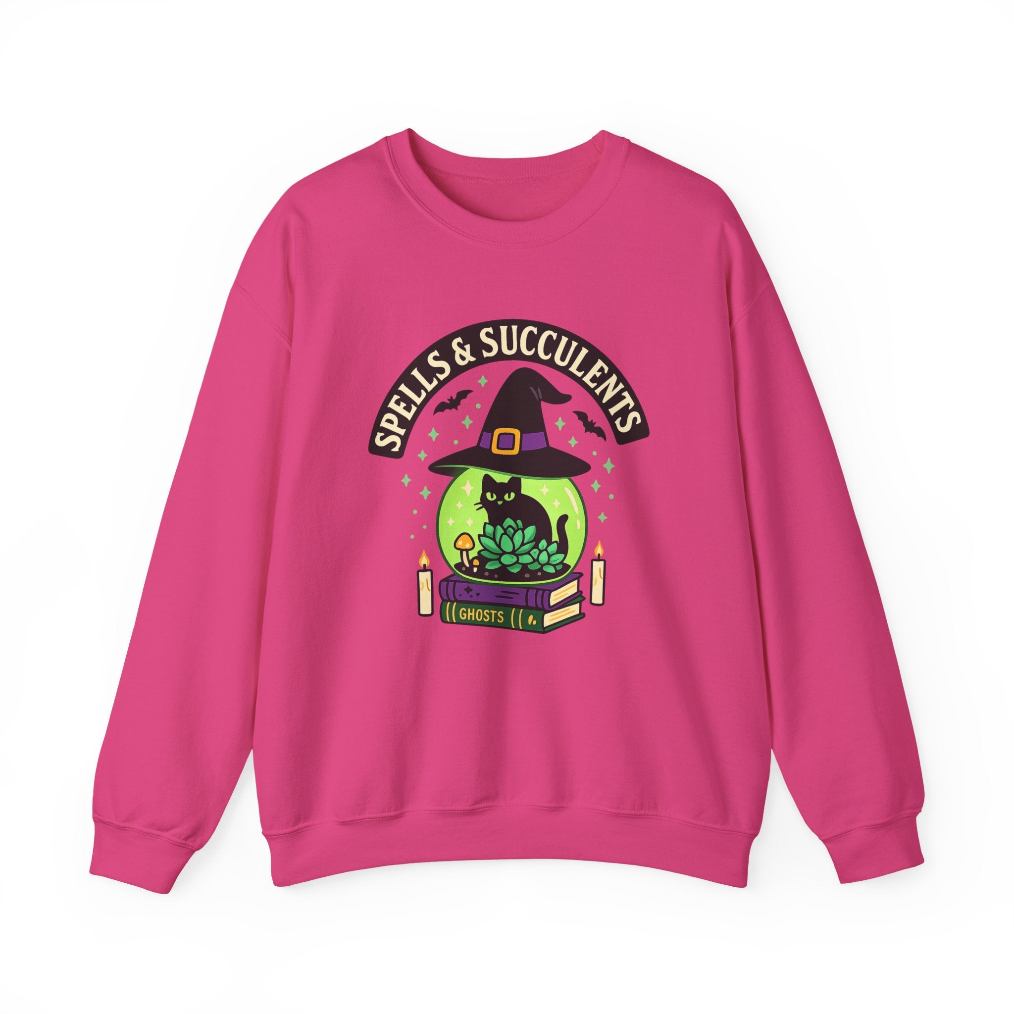 Witch's Hat and Succulent Magic Sweatshirt