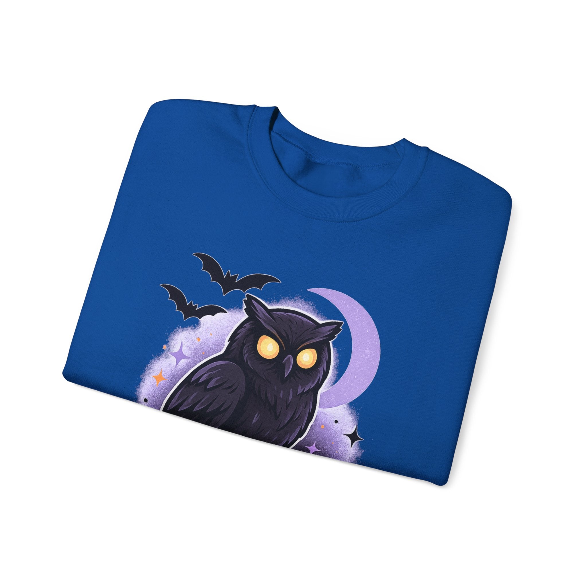 Spooky Owl and Pumpkin Night Sweatshirt