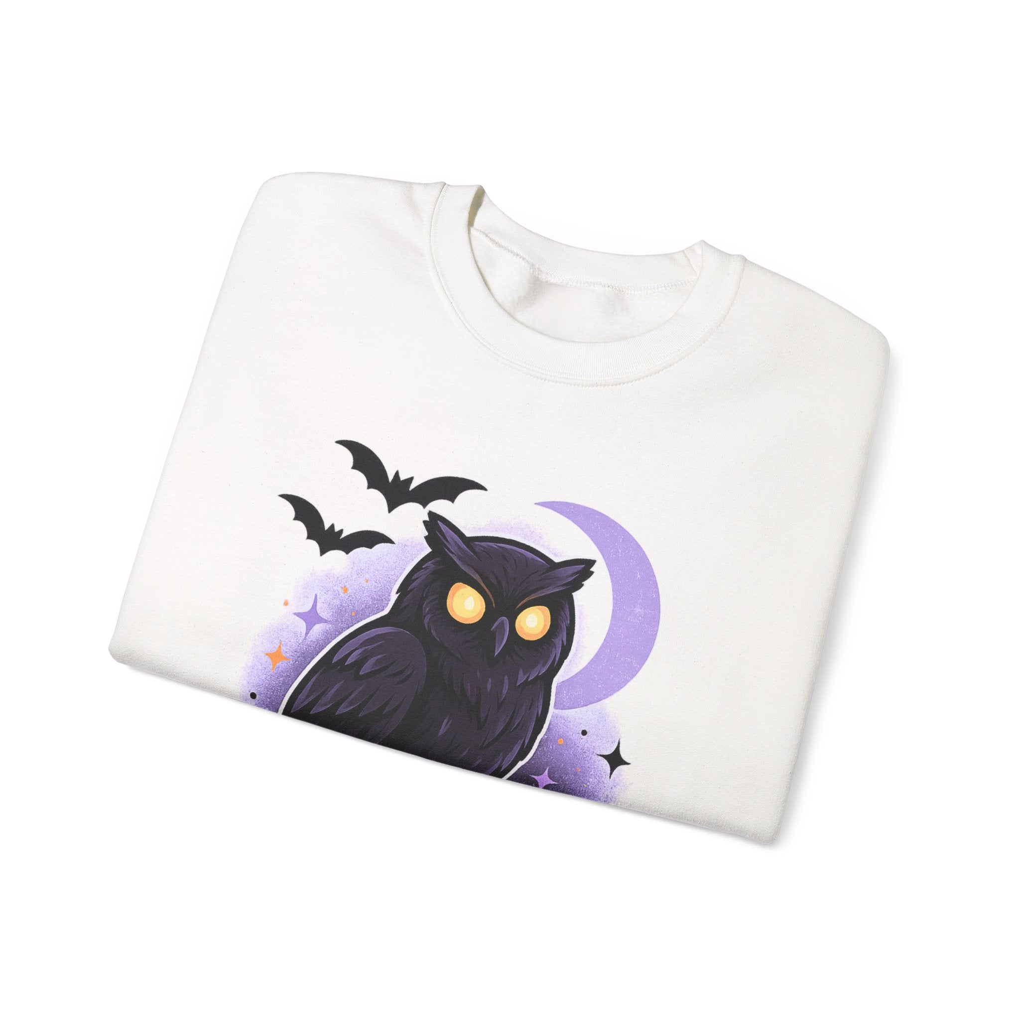 Spooky Owl and Pumpkin Night Sweatshirt